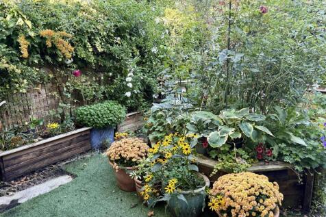 vendors garden 2.jpeg