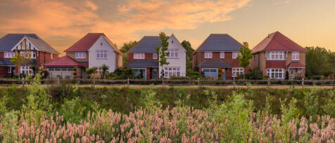 Row of modern houses with colourful roofs overlooking a garden with flowering plants at sunset in Da