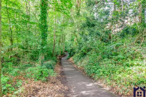 Into the woods