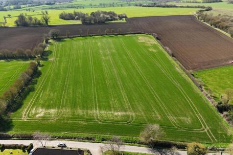 DJI_20260321112612_0168_D.JPG