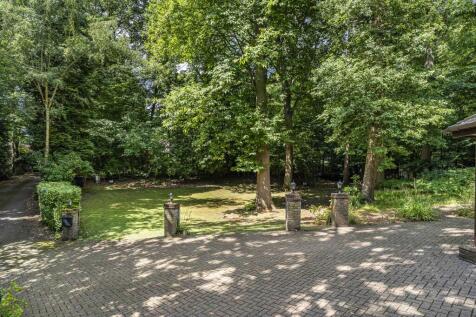 Drive and Front Garden