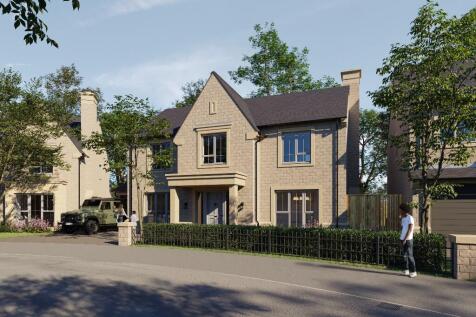 The Oak Plot 3