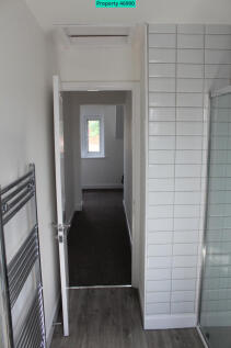 Bathroom and Hallway