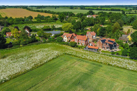 PT-DB(WP)-Brandon...