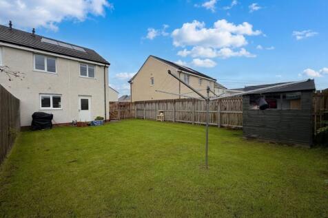 Back Garden
