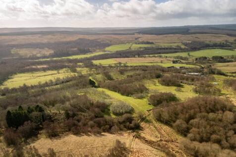 DJI_20260317103931_0217_D (2).jpg