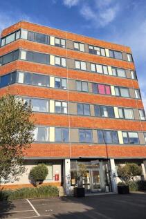 Picture No. 15