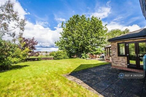 Back Garden