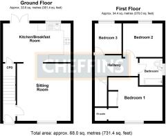 53 corsican Pine Newmarket.jpg