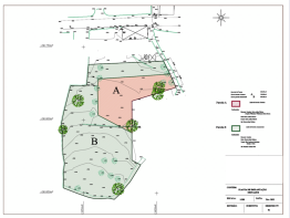 Floor/Site plan 1