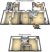 Wellingtonia And Little Wellingtonia 3D.JPG