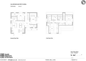 Floor/Site plan 1