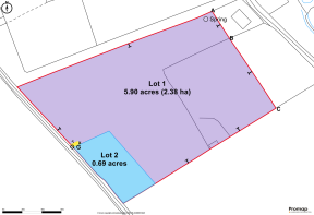 Floor/Site plan 1