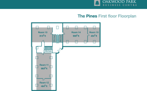 Floor/Site plan 1