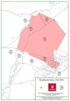 Plan lot 1 - 595K.jpg