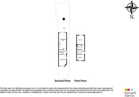 Floor/Site plan 1
