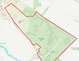 Hockley 1.png