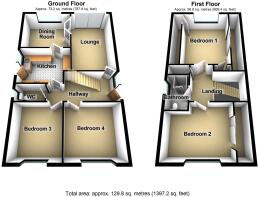 Entire Floorplan
