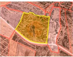 Floor/Site plan 2