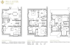 Aster