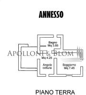 CDP3125 ANNESSO - WEB