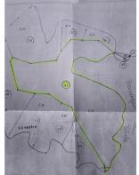 Floor/Site plan 1