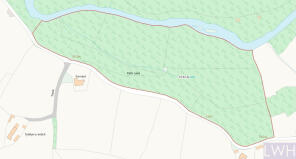 Woodland Bontnewydd OS