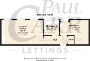Apartment 29
