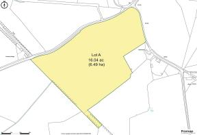 Tree Field - Lot A.jpg