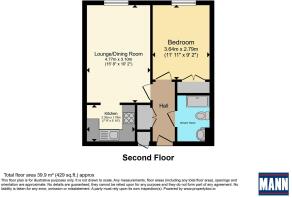 Floor Plane