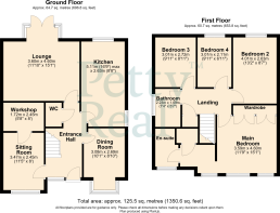 10 Sycamore Avenue, Nelson - all floors