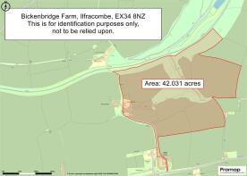 Promap-3526696-3625790-750-0.jpg