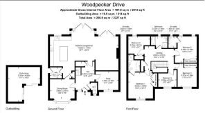 woodpecker.png