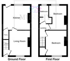 WhatsApp Image 2026-02-20 at 15.16.06.jpeg