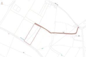 Daisy Field, Frome Mill Farm, Nibley lane, Nibley,