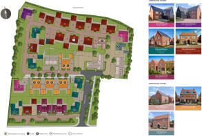 Development Layout