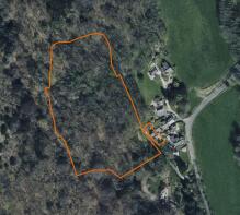 Woodedge Boundary
