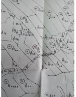 Floor/Site plan 2