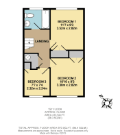 First Floor - Floor