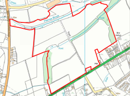 Floor/Site plan 1