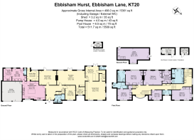 ebbisham-hurst-kt20-