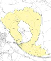 Field Plan 8.jpg