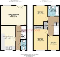1ScoillClosePeel-High (1).jpg