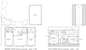 Floor/Site plan 1
