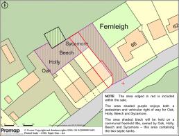 Promap Beech v3 with text