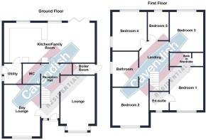 hazel bank clocaenog.JPG