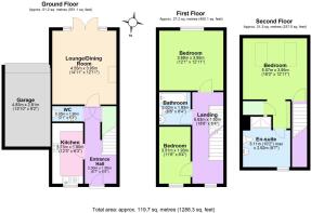 Birch - all floors.JPG