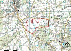 hurtwood-polo-club-horsham-lane-ewhurst-cranleigh-