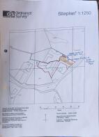 Site plan 1 05.03.25.jpg