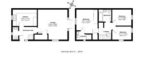 43 Eider close.jpg